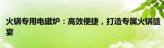 火锅专用电磁炉：高效便捷，打造专属火锅盛宴