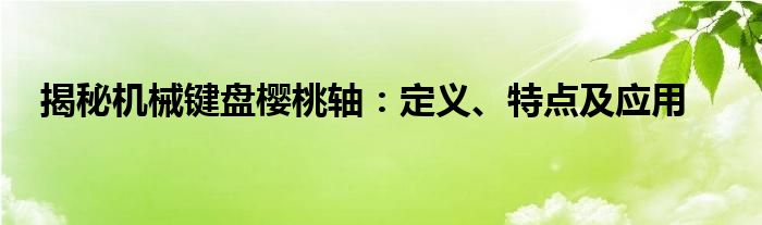 揭秘机械键盘樱桃轴：定义、特点及应用