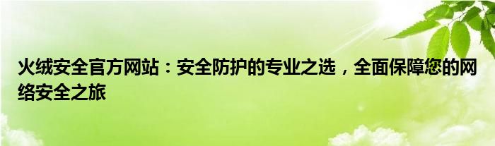 火绒安全官方网站：安全防护的专业之选，全面保障您的网络安全之旅