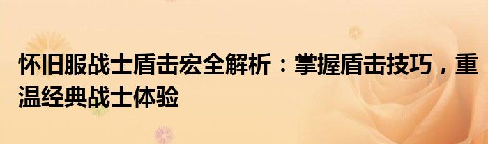 怀旧服战士盾击宏全解析：掌握盾击技巧，重温经典战士体验