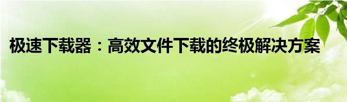 极速下载器：高效文件下载的终极解决方案