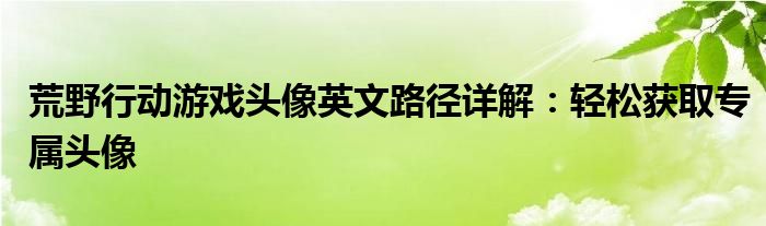 荒野行动游戏头像英文路径详解：轻松获取专属头像