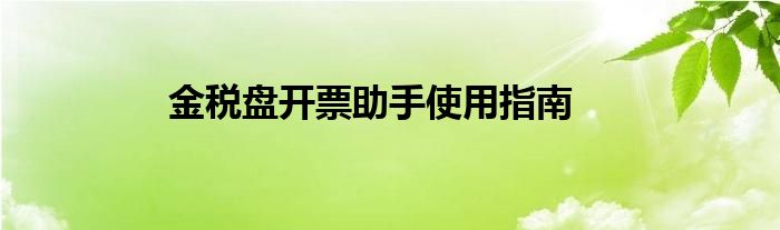 金税盘开票助手使用指南