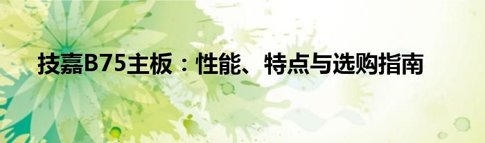 技嘉B75主板：性能、特点与选购指南