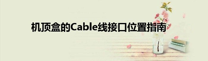 机顶盒的Cable线接口位置指南