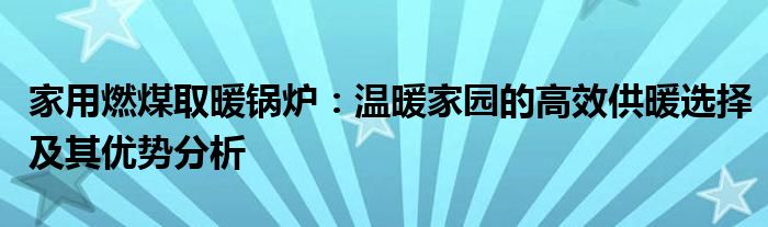 家用燃煤取暖锅炉：温暖家园的高效供暖选择及其优势分析