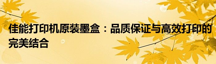 佳能打印机原装墨盒：品质保证与高效打印的完美结合