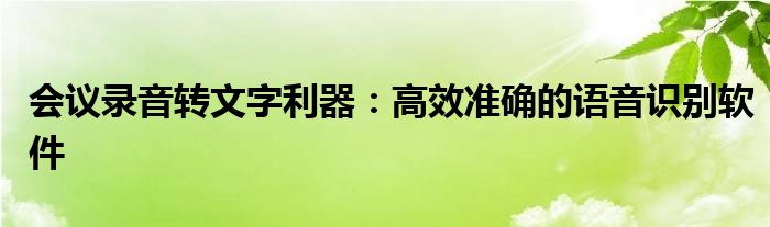 会议录音转文字利器：高效准确的语音识别软件