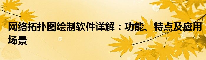 网络拓扑图绘制软件详解：功能、特点及应用场景