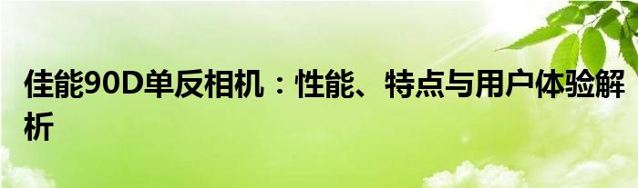 佳能90D单反相机：性能、特点与用户体验解析