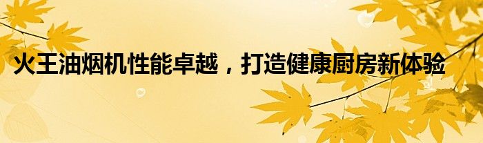 火王油烟机性能卓越，打造健康厨房新体验