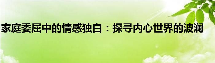 家庭委屈中的情感独白：探寻内心世界的波澜