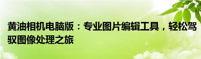 黄油相机电脑版：专业图片编辑工具，轻松驾驭图像处理之旅