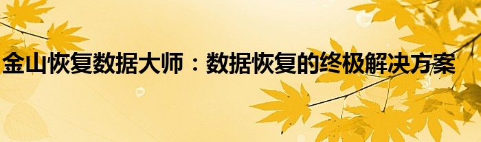 金山恢复数据大师：数据恢复的终极解决方案