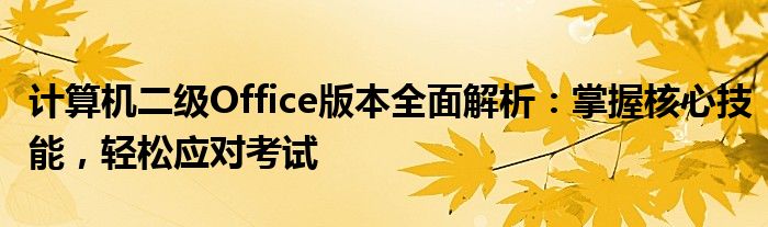 计算机二级Office版本全面解析：掌握核心技能，轻松应对考试