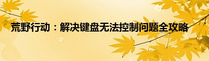 荒野行动：解决键盘无法控制问题全攻略