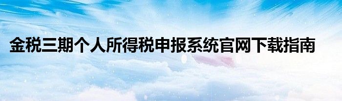 金税三期个人所得税申报系统官网下载指南