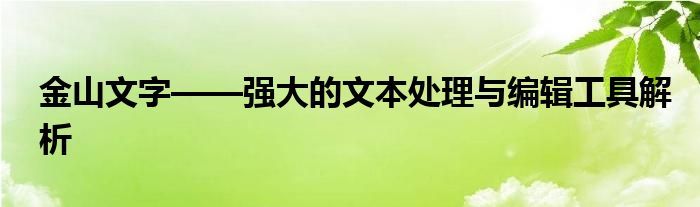 金山文字——强大的文本处理与编辑工具解析