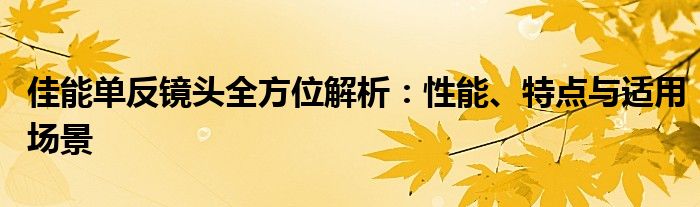 佳能单反镜头全方位解析：性能、特点与适用场景