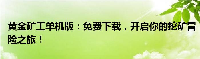 黄金矿工单机版：免费下载，开启你的挖矿冒险之旅！