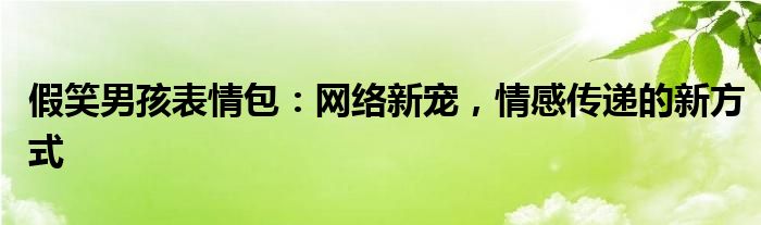 假笑男孩表情包：网络新宠，情感传递的新方式