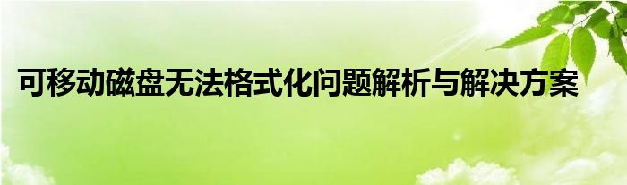 可移动磁盘无法格式化问题解析与解决方案