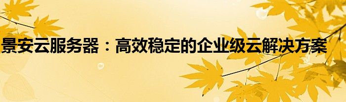 景安云服务器：高效稳定的企业级云解决方案