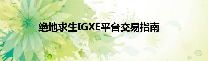 绝地求生IGXE平台交易指南