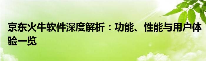 京东火牛软件深度解析：功能、性能与用户体验一览