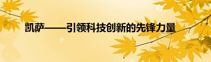 凯萨——引领科技创新的先锋力量