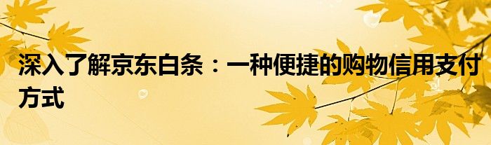 深入了解京东白条：一种便捷的购物信用支付方式