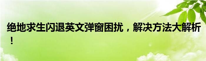 绝地求生闪退英文弹窗困扰，解决方法大解析！