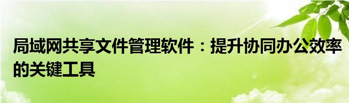 局域网共享文件管理软件：提升协同办公效率的关键工具