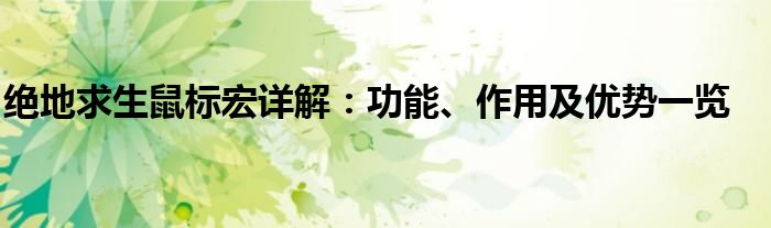 绝地求生鼠标宏详解：功能、作用及优势一览