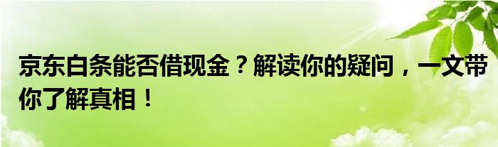 京东白条能否借现金？解读你的疑问，一文带你了解真相！