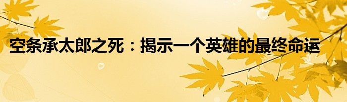 空条承太郎之死：揭示一个英雄的最终命运