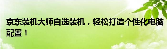 京东装机大师自选装机，轻松打造个性化电脑配置！