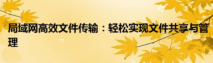 局域网高效文件传输：轻松实现文件共享与管理