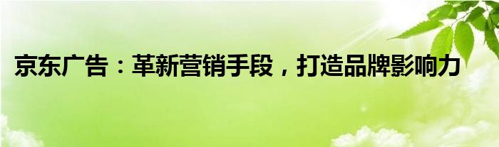 京东广告：革新营销手段，打造品牌影响力