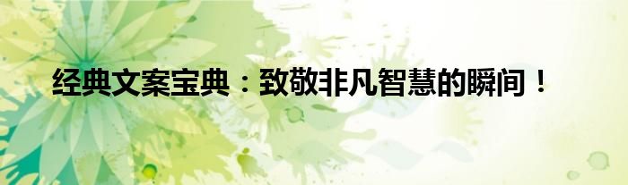 经典文案宝典：致敬非凡智慧的瞬间！