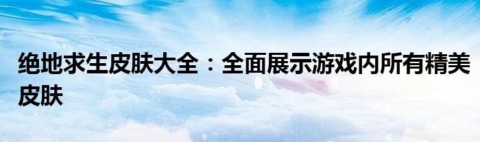 绝地求生皮肤大全：全面展示游戏内所有精美皮肤