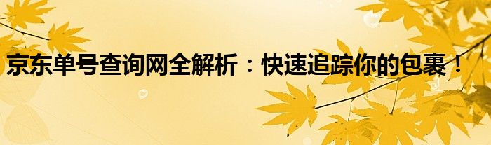 京东单号查询网全解析：快速追踪你的包裹！