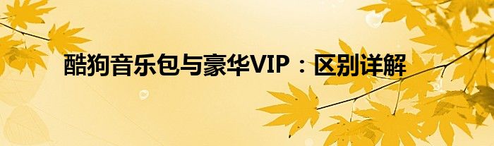 酷狗音乐包与豪华VIP：区别详解