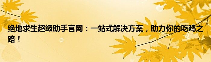 绝地求生超级助手官网：一站式解决方案，助力你的吃鸡之路！