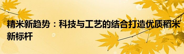 精米新趋势：科技与工艺的结合打造优质稻米新标杆