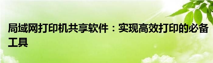 局域网打印机共享软件：实现高效打印的必备工具