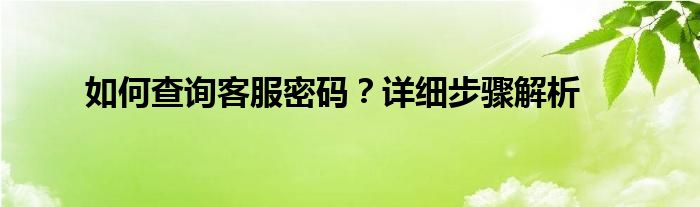 如何查询客服密码？详细步骤解析