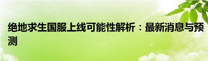 绝地求生国服上线可能性解析：最新消息与预测