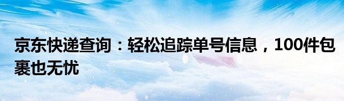 京东快递查询：轻松追踪单号信息，100件包裹也无忧