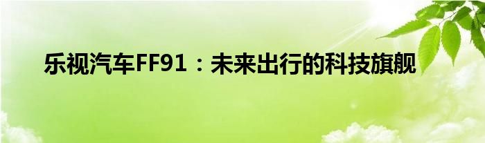 乐视汽车FF91：未来出行的科技旗舰